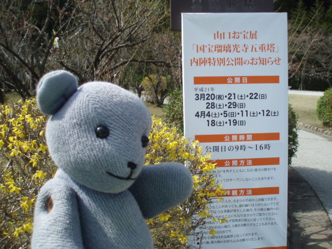 2009年のボランティアガイドが始まりました。<br />スタートは、山口お宝展と重なりました。<br />さて、今年はどんなことが起こるのでしょうか?<br />※この旅行記というかガイド日記は、ほぼ年度で区切っています。<br />当番のスケジュールが3月下旬から翌3月になってたもので。<br />2010年3月22日で2009年終了・・・と思ったら急きょ追加で3月28日終了予定。<br /><br />これまでの記録<br />2004年(4トラ登録記念に作成♪)<br />http://4travel.jp/traveler/yamakuni/album/10008663<br />2005年(公園の工事と在りし日のカン君編)<br />http://4travel.jp/traveler/yamakuni/album/10019058/<br />2006年(お宝展の開始と国民文化祭編)<br />http://4travel.jp/traveler/yamakuni/album/10051018<br />2007年(他にも行事が色々編)<br />http://4travel.jp/traveler/yamakuni/album/10136285/<br />2008年(ガイド拡大?編)<br />http://4travel.jp/traveler/yamakuni/album/10237546/