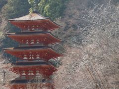 早春の奈良・京都を訪ねて（奈良・桜井）