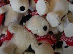 *祝卒業*　嗚呼、USJ