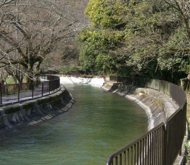 琵琶湖岸から京都東山の麓まで、疏水（第一疏水）に沿ってサイクリングをしました。<br />疎水の水はトンネルを抜けて流れますが、人間は山越え谷越えです。私も最近は少々体を鍛えているので、今回は主人のペースについていくことが出来ました。<br /><br />琵琶湖疏水とは・・・<br /><br />琵琶湖から京都市に通じる運河です。<br />明治時代に舟運・発電・上水道・灌漑の目的で開削されました。現在は蹴上浄水場への供給が主な目的です。<br />「第一疏水」に次いで掘られた「第二疏水」は、第一疏水の水路にほぼ沿っており、こちらは全線暗渠です。