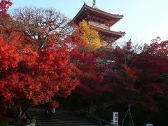 紅葉の京都２００８