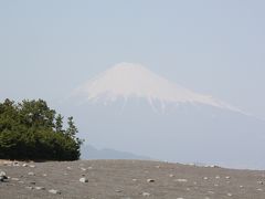 富士山を見に行きました1（日本平・三保の松原）