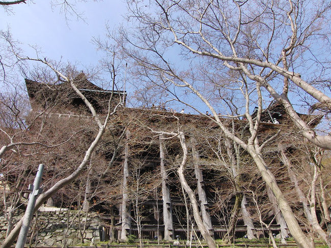 御本尊御開帳中の清水寺へ参拝。