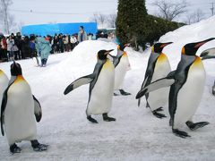 冬の北海道ひとりあるき　『６．冬こそ旭山動物園♪』