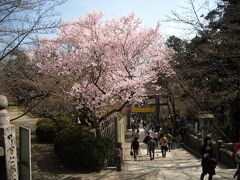 ☆狂気の四国横断旅行～その２　香川編～☆ 