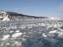 09年3月　知床羅臼?　豊かなる海：流氷･クジラ･オロロン鳥