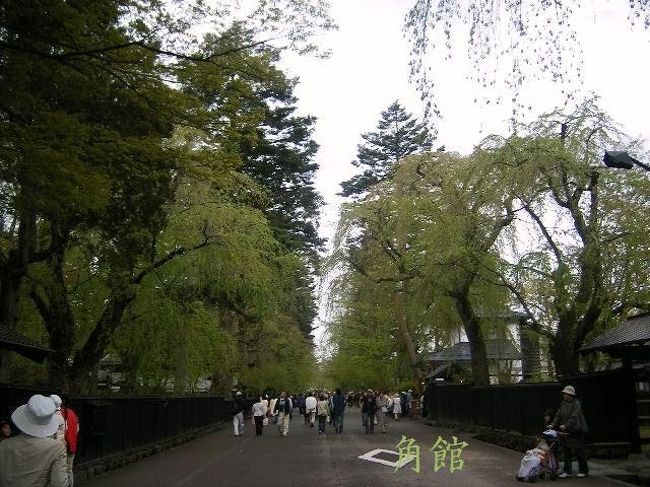 日本国家苑でいろんな種類の桜を楽しんだあと<br />宿は秋田駅のそば、秋田の駅は立派だ。<br />夜になって出かけた街　静かなこと！<br />いよいよ角館、でももう桜は<br />終わってしまってるもよう、<br />わかったいながら行くのは、<br />目的がなくて残念。　<br /><br /><br />2008　4・27