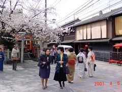 京都府　京都市　情緒あふれる、祇園白川の春と秋