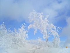 《北海道散歩》カムイスキーリンクス～雪樹木の森～