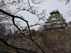 大阪桜便り 「大阪城西の丸庭園」