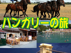 2007ハンガリー Vol.1-はるばる到着