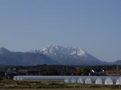 早咲きの桜を求めて（鳥取）ぶらり一人旅