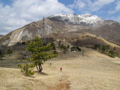 春の山野草に逢いたくて　再び伊吹へ　Part1伊吹山3合目へ