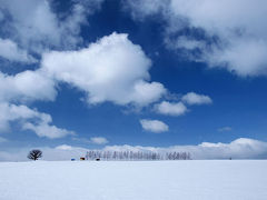 歩くスキーで北海道♪-2009-／ちょっとだけ美瑛の丘＆旭岳温泉クロスカントリーコース