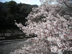 ☆春の訪れ　奥伊勢桜満開と熊野古道ちょっぴり散策☆