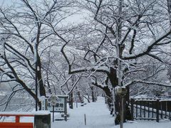 桜が待ち遠しい、東北の小京都角館。