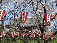 2009年度のお花見は？（2）ついでに少し早めの上野の桜詣