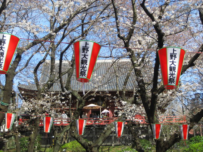 本命は、いつのまにか会期終わりが近付いた「アーツ＆クラフツ展」（上野・東京都美術館）です。<br />しかし、この時期に上野公園に足を踏み入れるなら、少し早めでも桜を見ないのはもったいない！<br />日曜日で、春休みで、天気が良くて、だから混んでいて当然で、はじめはげんなりしましたが。<br />通勤ラッシュほどではなかったです。<br />───まだ。<br /><br />満開は来週、４月の第一週目くらいの週末でしょう。<br />でも、思ったより咲いていました。<br />とにかく桜の本数が多いから、まだ咲きそろっていなくても桜でも十分楽しめました。<br />去年（2008年）、満開のときに訪れているのに、がっかりしたり見飽きたりしませんでした。<br />美術館前に大急ぎで１時間半。<br />めざすは上野公園らしい桜の写真。<br />そうすると、花見客の群衆も必要な要素になりますね。<br /><br />※去年の満開のときの上野の桜デビュー<br />2008年４月１日<br />「念願の桜の季節の上野公園（1）提灯桜通りの桜トンネルと東京国立博物館・常設展「博物館でお花見を」」<br />http://4travel.jp/traveler/traveler-mami/album/10230308/<br />「念願の桜の季節の上野公園（2）念願中の念願！───不忍池の桜」<br />http://4travel.jp/traveler/traveler-mami/album/10230318/