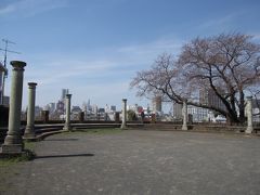 横浜：山手の知られていない桜スポット：元町百段