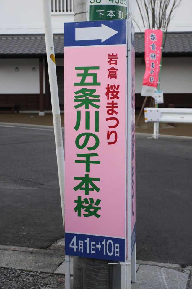 ３月から小牧工場への勤務となり<br />車通勤から電車通勤に替え<br />自宅から最寄り駅まで自転車<br />名鉄岩倉駅からはチャーターバスでの移動<br /><br />岩倉駅の東には五条川が流れ<br />そこには染井吉野桜の桜並木がある<br />更に４月１日から１０日まで<br />五条川の千本桜がライトアップ<br />寒さが戻ってきたので<br />見るのは辛いが開花はバッチリ？<br /><br />１日水曜日は定時退場日なので<br />ちょっとだけ覗いてきました