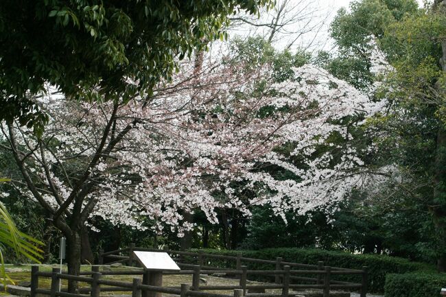 岩崎城址と桜の紹介の続きです。再建された天守閣などの紹介です。隅櫓は礎石のまま残されていました。