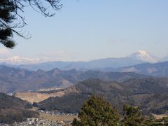 何にも無い田舎町ですが、唐沢山がありました