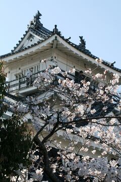 2009春、桜の季節の浜松城(1/5)：浜松駅前、浜松城へ、模擬天守、染井吉野、紅枝垂れ桜