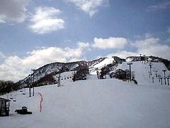 1991年　にいがた魚沼国体　in　新潟県　石打丸山スキー場