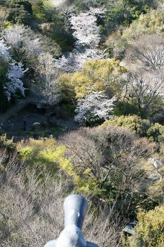 2009春、桜の季節の浜松城(4/5)：城内展示品、軒丸瓦、歴史説明パネル、天守からの眺望