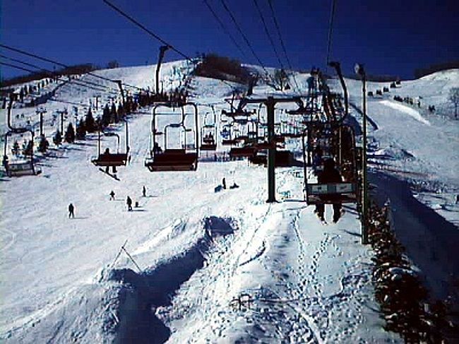 1996年　スズラン国体　in　岐阜県　鈴蘭高原スキー場<br /><br />『雪原に舞え熱き夢』
