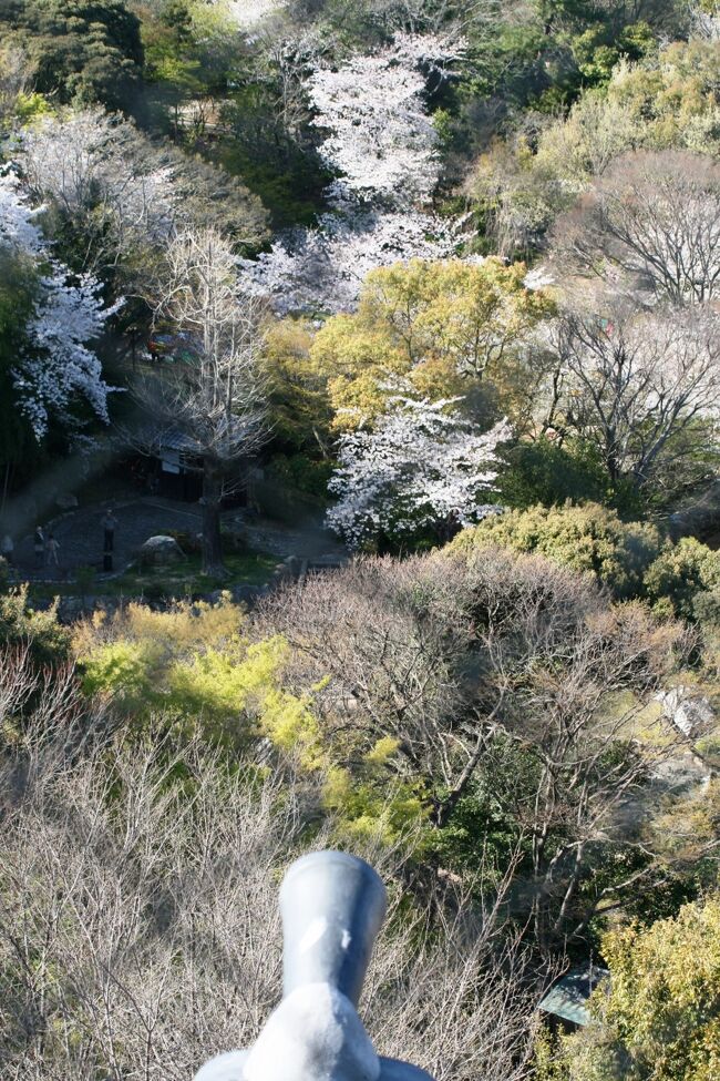 浜松城の内部紹介の続きです。城内に展示された軒丸瓦や展示パネル等の紹介と、天守閣からの四方の眺望などの紹介です。