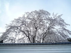 岡山の人情と自然にふれる