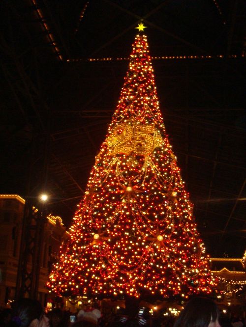 ディズニークリスマス 東京ディズニーランドと東京ディズニーシー両方行きたい！心躍る