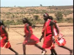 ライオンベラーの冒険　野生への道 ２　往路編　06夏