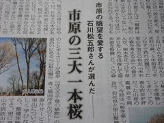 09年04月04日（土）、市原の眺望を愛する石川松五郎さんが選んだ市原の三大一本桜・勝間をさがして。