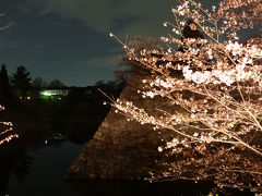 2009年桜だより◆郡山城址のお城まつりで夜桜見物（奈良県大和郡山市）