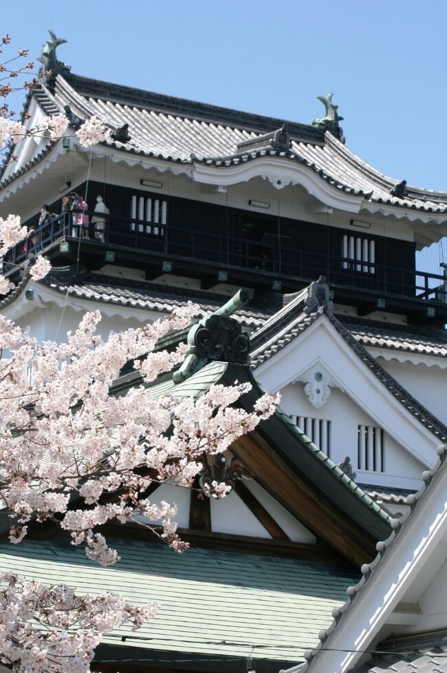 日本百名城の一つで、桜の名所百選にも選ばれている、岡崎城・岡崎公園の紹介の続きです。桜の時期ですと、お城と桜と同時に楽しむことができます。