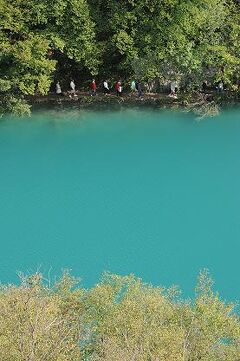 ★ヨーロッパあちこち（１７）プリトヴィッツェ湖群国立公園を歩く（下湖編)