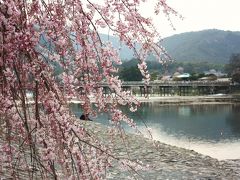 京都嵐山観光 「渡月橋・中ノ島公園他」