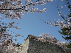 松山、道後、今治の桜の旅