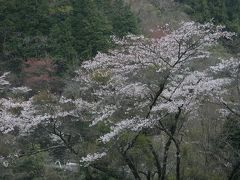 九州｢黒川温泉・嬉野温泉」の旅