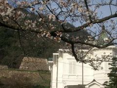 桜の待ち遠しい久松（きゅうしょう）公園