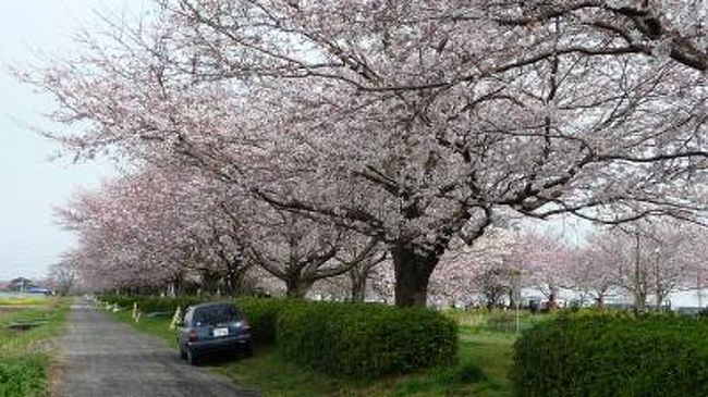 　市原市、君ヶ作公園・姉崎高校前・ダイワオート前、、、