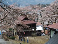 秩父の桜を求めてのハイキング?若御子神社付近を訪問