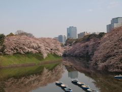 2009.04 桜吹雪の江戸城散歩? 千鳥ヶ淵・北の丸公園