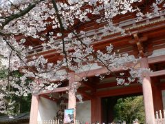 ２００９．０４．０５☆ふらり醍醐寺