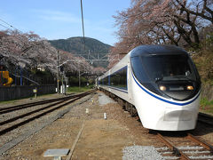 リベンジ・山北での電車と桜=山北駅にて=