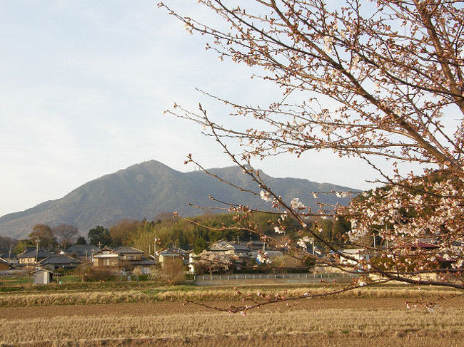 久しぶりに筑波山でバードウォッチングを楽しんできました。<br />今迄筑波山でバードウォッチングした時は５月頃だったので、樹木の若葉が生い茂り野鳥の姿が見えませんでした。<br />まだ少し早いかなと思いましたが、天気が良かったので運動不足解消を兼ねて登ってきました。<br />表紙の写真は、途中で撮った筑波山です。<br /><br />※ 2014.12.07 位置情報修正