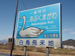 ちゃむたの「?こらんしょ♪食わんしょ♪福島」～白鳥さんを見に阿武隈川へ