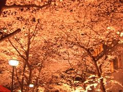 夜桜見物